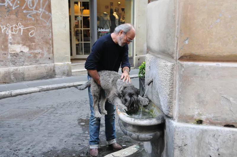 Inside Imo's Pizza restaurant showing the warm atmosphere and pizza preparation